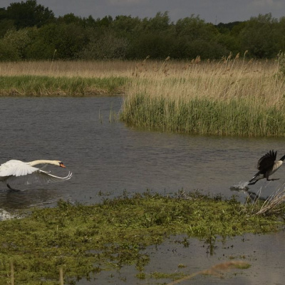 Simply Abundant Intuitive