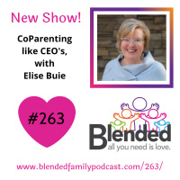 Co Parenting Like CEOs, with Elise Buie!