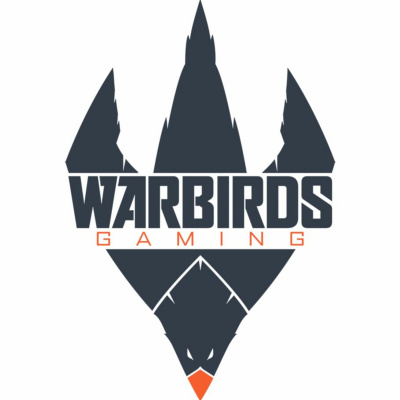 Warbirds Gaming