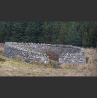 A voice of peace in the midst of anxiety - Jesus says I have come that they may have life John 10