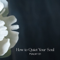 How to Quiet Your Soul (Auditorium)