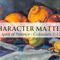 The Spirit of Patience (1st Service)