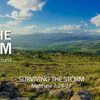 Surviving the Storm (Auditorium)