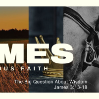 The Big Question About Wisdom (Auditorium)