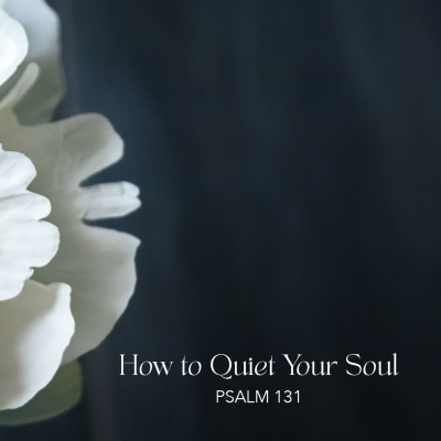 West Park Baptist Church - Sermons