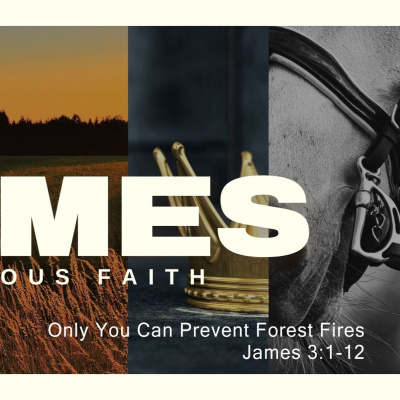 West Park Baptist Church - Sermons