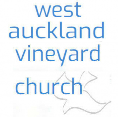 Westaucklandvineyard