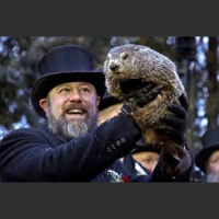 QuikRips: Its Ground Hog Day!