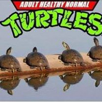 Episode 12: Renewed for Season 2