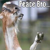 Episode 17: Goodbye Sweet Prince