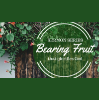 The Fruit of Giving - Audio