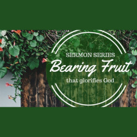 The Fruit of Repentance - Audio - Audio