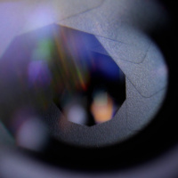 Finding Complete Joy | Children of the God of Creation