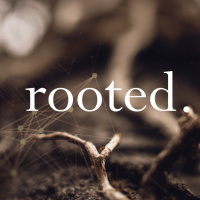 Rooted | Abide