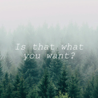 Standalone | Is that what you want?