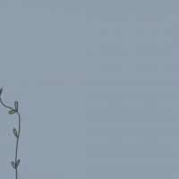 While We Wait | What Kind of Solution is That?