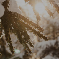 Standalone | Epiphany  The New Year