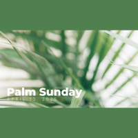 Palm Sunday | Jesus Cleanses the Temple