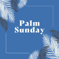 Palm Sunday - Seeing Jesus