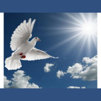 Prayer Vigil and Communion Service