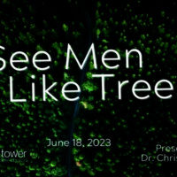 I See Men Like Trees