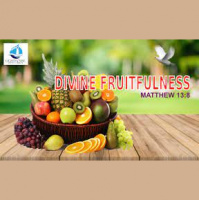What Is Your Fruit?