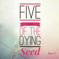 5 Laws of the Dying Seed part1