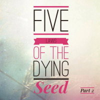 5 Laws of the Dying Seed part 2