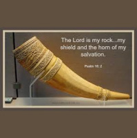 Horn of Salvation