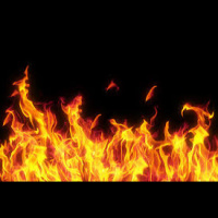 Snakes cant live in Fire