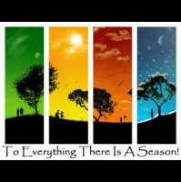 Purpose for every Season