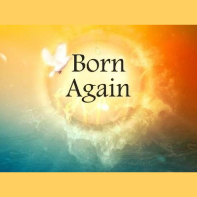 Willing Vessels Podcast