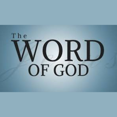 Willing Vessels Podcast