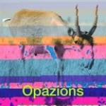 Opazions