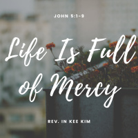 Life Is Full of Mercy