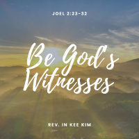 Be Gods Witnesses