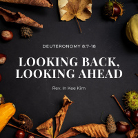 Looking Back, Looking Ahead