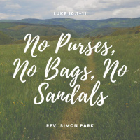 No Purses, No Bags, No Sandals