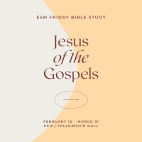 Matthew Part 1 (Jesus in the Gospels)