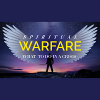 What to do in a Crisis?