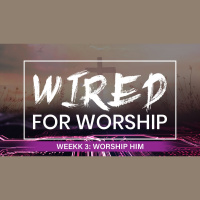 Worship Him - Pastor Darrell Ingram