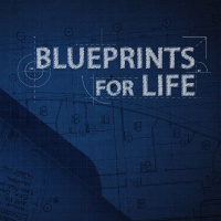 Gospel Shaped Gathering