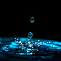 Living Water 4: Thirsting for Life