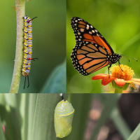 Transforming 1: What is Spiritual Formation?