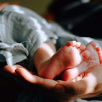 The Promise of Christmas 2: New Identity