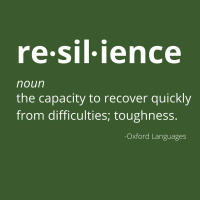 Resilience 1: When Health Declines