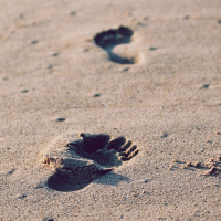 40DWJ 2: John the Baptist