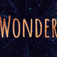 The Wonder of Bethlehem - Wonder