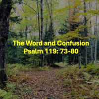The Word and Confusion Psalm 119:73-80