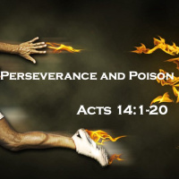 Poison and Perseverance Acts 14: 1-20